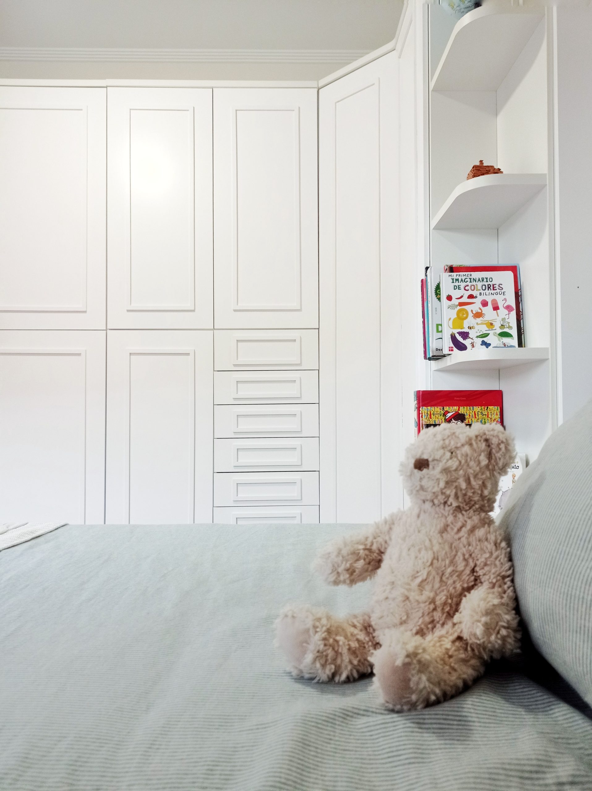 renovacion (9)